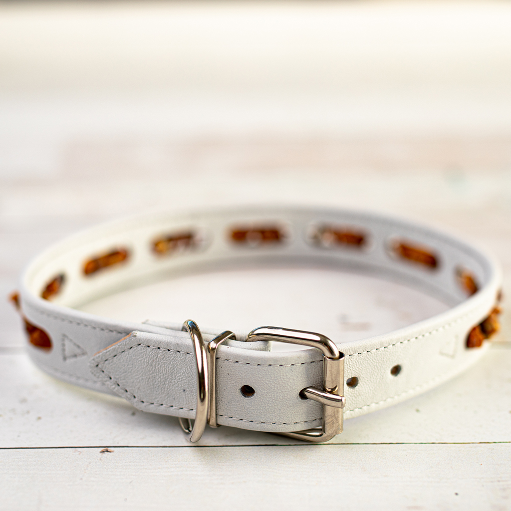 Amber Zoo dog collar white